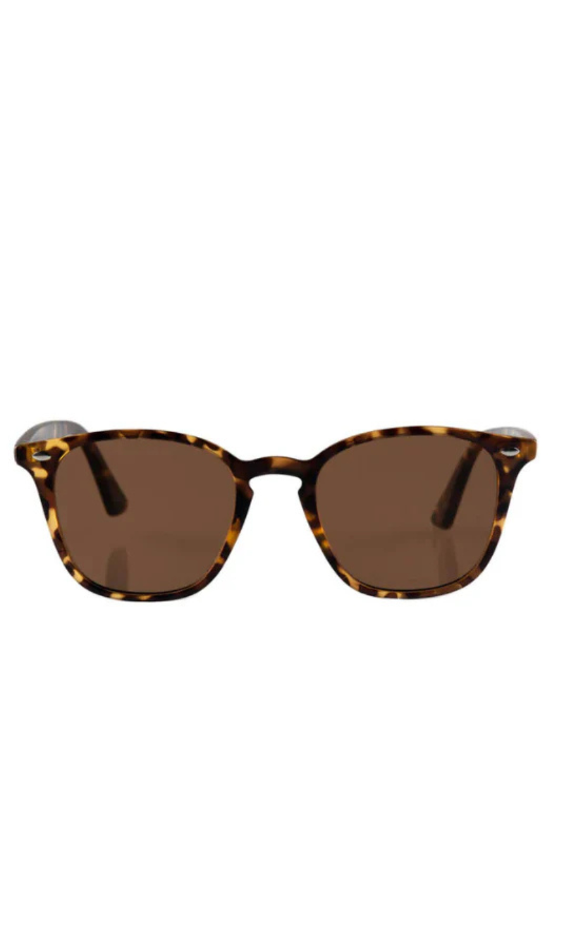 Reality Eyewear | The Chelsea | Tortoise