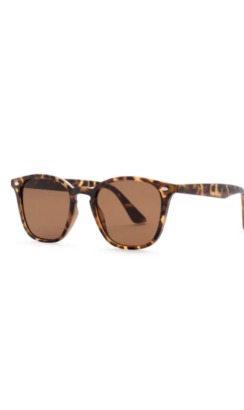 Reality Eyewear | The Chelsea | Tortoise