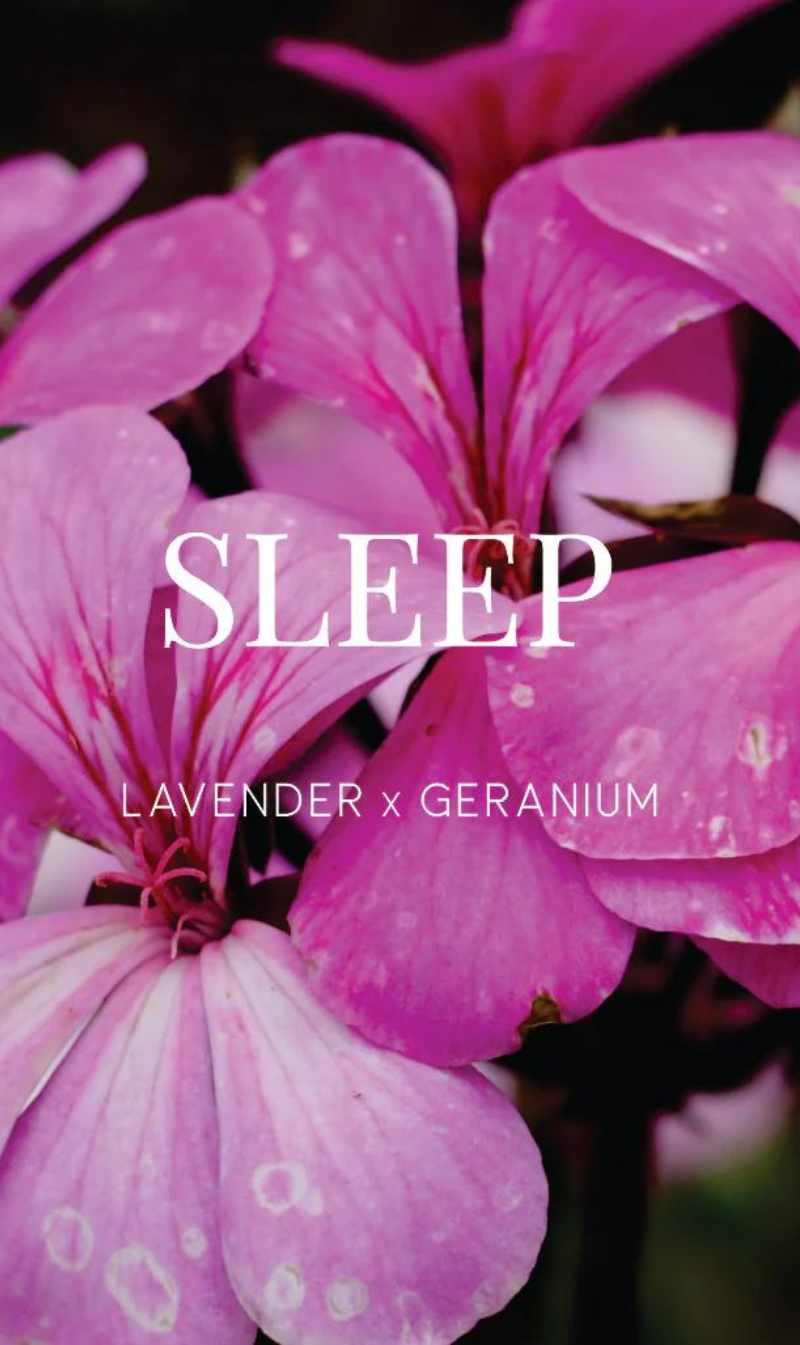 Sleep Shower Steamer | Lavender & Geranium