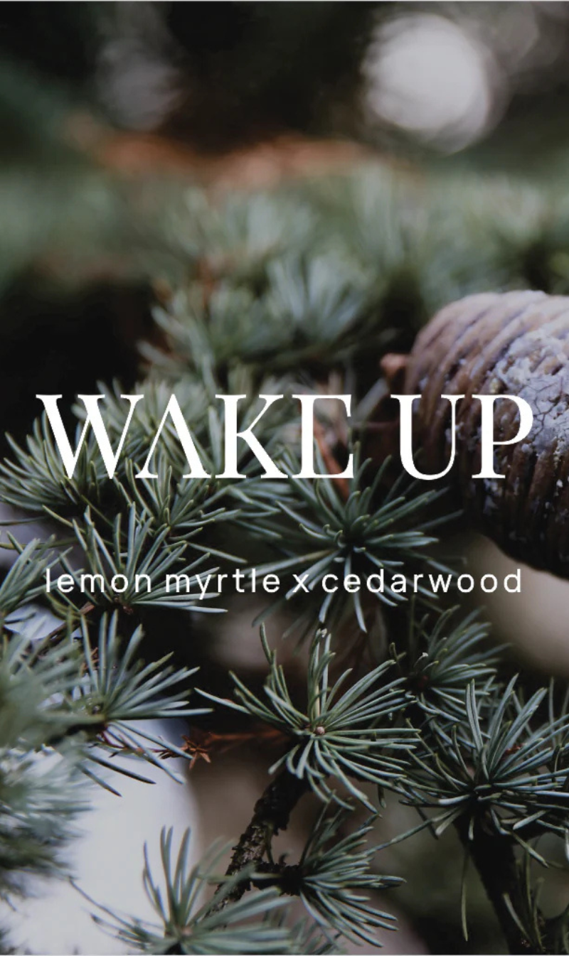 Wake Up Shower Steamer | Lemon Myrtle and Cedarwood