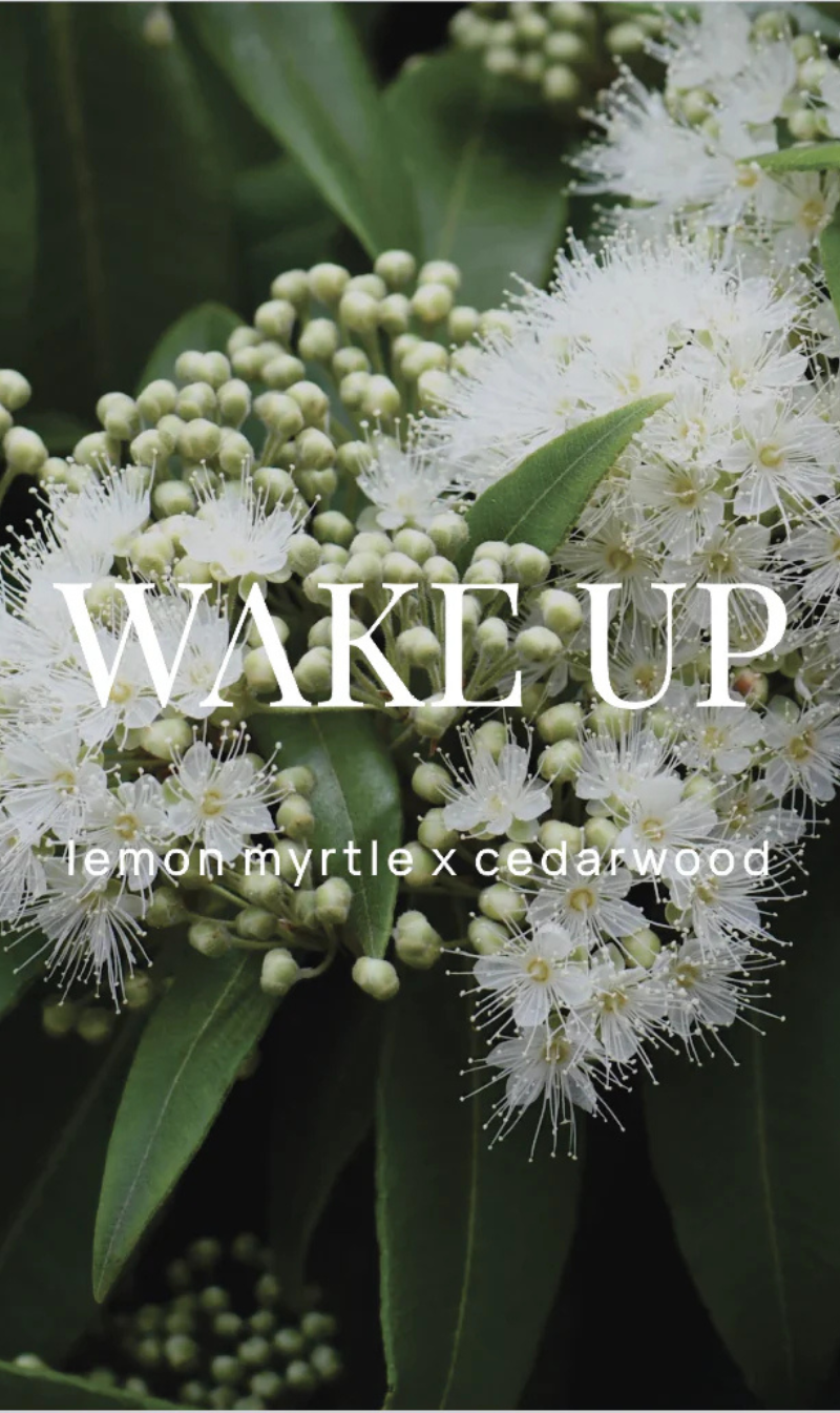 Wake Up Shower Steamer | Lemon Myrtle and Cedarwood